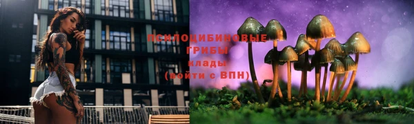 2c-b Алексин